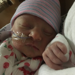 Fundraising Page: Deb Zolna